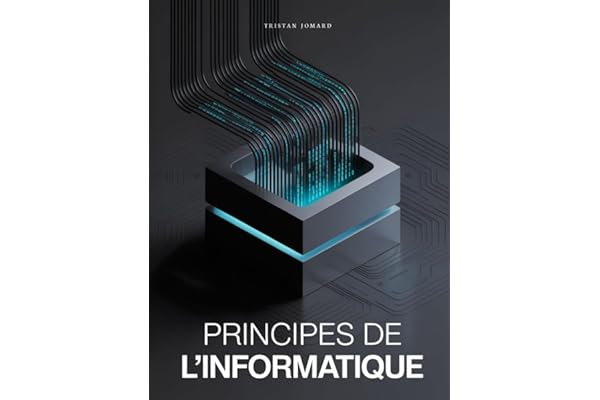 Principes de l'informatique: De la logique à la programmation