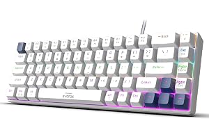 EvoFox Katana S Mini Wired Mechanical Keyboard | Hot-Swappable Silent Red Switches | 68-Key Compact Layout | Vivid Rainbow Backlighting | 1000Hz Polling Rate, All Keys Anti-Ghosting (White)