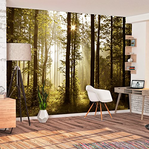 Fototapete Wald grün 350×245 cm XXL !  PREMIUM VLIES TAPETE – PROFI QUALITÄT (Keine Papiertapete, keine Blasenbildung) – Top moderne Wanddeko – Fototapete 3D Illusion – Riesen Wandbild – Top Design Tapete – Neue exklusvie Edition mit noch besser Druckauflösung – Deutsches Premium Vlies (Kein Import Vlies oder PVC), Schlafzimmer, Wohnzimmer, Kinderzimmer geeignet | modern Fototapeten Wandtapete Landschaft Baum Bäume Natur FOB0238a73XL - 3