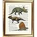 Produktbild Groß ANTIK "Dinosaurier" Lexikon Glossar Weinlese
