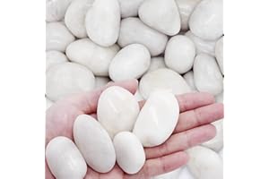 ICEBLUEOR Galets blancs de 1 kg, pierres de rivière naturelles décoratives pour aquarium, pots de fleurs, vases, étangs, plantes d'aquarium d'intérieur, jardin, aménagement paysager (3 à 5 cm)