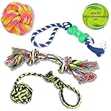 Golden Pets Hundespielzeug 4-teiliges Set | Ideal für kleine bis mittelgroße Hunde und Welpen | Aus natürlichen hochwertigen Baumwollfasern | + Gratis Pflegehandbuch