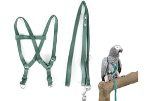 Nicoone Harnais et Laisse pour Oiseaux Ara Cacatoès Laisse Réglable pour Perroquets (Vert)