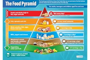 Piramide alimentare | Poster scientifico | Carta lucida laminata misura 850 mm x 594 mm (A1) | Grafici scientifici per l'aula | Grafici didattici di Daydream Education