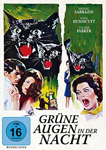 Preisvergleich Produktbild Grüne Augen in der Nacht