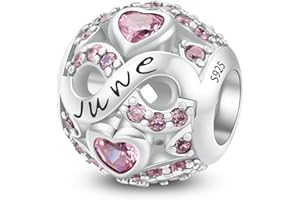 LNQOBU Charme de Naissance pour Bracelets Charms de Perles en Argent Sterling 925 charmes de pour Bracelets et Colliers