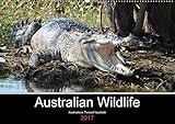 Australian Wildlife (Wandkalender 2017 DIN A2 quer): Australiens Tierwelt hautnah erleben. (Monatskalender, 14 Seiten ) (CALVENDO Tiere) by
