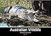 Australian Wildlife (Wandkalender 2017 DIN A2 quer): Australiens Tierwelt hautnah erleben. (Monatskalender, 14 Seiten ) (CALVENDO Tiere) by