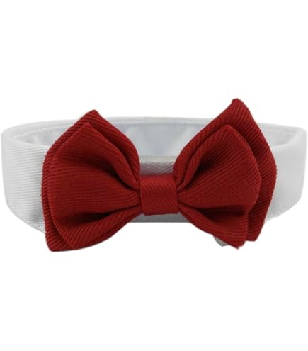 Pettorina Vestito Per Cane Femmina Croci Ceremony | Gonna In Tulle E Fantasia Damascata | Taglia S (27-31 Cm) | Per Matrimoni E Feste