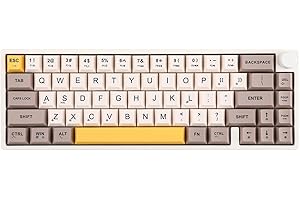 KIIBOOM Feker IK65 VIA Programmable 2.4G/BT5.0/USB-C Mechanical Keyboard, 65% Hot Swappable Gasket-mounted, with Sound Dampening Foams Kit, Volume-control Knob, 4000mAh Battery, RGB for Win/Mac (White Knob)