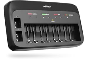 ABSINA Chargeur de Piles Rechargeables X10 pour AA, AAA & 9V - Chargeur Piles Rechargeable avec 10 emplacements - Chargeur Pile pour Micro AAA, Mignon AA & accus Bloc 9V NiMH - Chargeurs de Piles