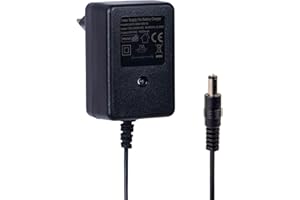 BNBBSC 6V Ladegerät für Ride-on-Spielzeug, 6V Batterieladegerät für Kinder-Elektro-Ride-on-Car-Motorrad, 6 Volt Ladegerät für Power Wheels Electric Ride-Ons Zubehör