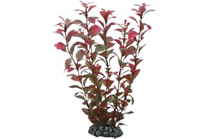 Hobby Ludwigia Plante d'Aquarium Artificielle 25 cm