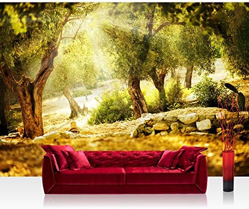 Non-woven Photographic Wallpaper 350x245 cm – Top Quality – Premium Plus Photo Wallpaper Wall Picture XXL Decorative Wall Picture Wall Mural Photo Wallpaper Forest Sun Stones – No. 265