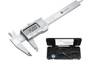 Neoteck Digital skjutmått 100 mm/4 tum rostfritt stål elektronisk bromsok tum/metrisk konvertering Vernier Gauge digital för