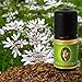 Produktbild Primavera Bio Duftöle für Aromatherapie zu je 5ml, Duft:Kreuzkümmel Bio