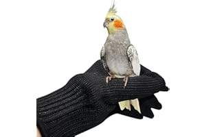 NCONCO 1 paio di guanti anti-morso per pappagalli, guanti da addestramento per uccelli, piccoli animali da maneggiare guanti in filo di acciaio e guanti protettivi da masticare (nero)