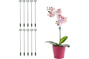 RYMAUP® 10 Stück Pflanzenstäbe für Blumen, Garten-Einzelstiel-Stützstab, Pflanzenkäfig, Stängel-Pflanzenstützring für Orchideen, Amaryllis, Tomaten, Pfingstrosen, Rosen, grüne