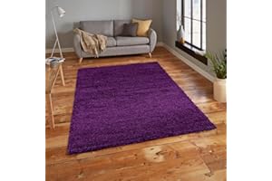 RUGS 4 SALE Rugs4Sale 5cm Thick Pile Shaggy Modern Area Rugs Living Room Home Decor Rug | Ideal For Bedroom, Hall, Kids Baby Room, Indoor & Outdoor Rugs Hallway Runners Carpet Mat(Aubergine 200x290cm)