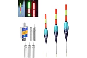 Hegawleo Pack of 2 LED Fishing Floats with CR425 Battery Charger, Fishing Floats with Gravity Sensing Colour Changing and Copper Ring, Fishing Accessories for Sea Fishing, Fishing on the Lake, River