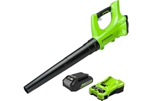 Greenworks G24ABK2 Souffleur à Batterie Axial de Feuilles Mortes Sans Fil, 156 km/h, 4,27 m³/min, Batterie 24V 2Ah et Chargeur, Garantie 3 Ans
