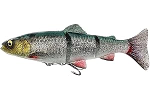 SAVAGE GEAR Leurre de pêche Doux parfumé 4D Line Thru Trout 200 mm/93 g