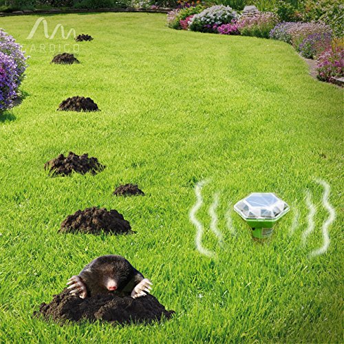 Gardigo Solar Maulwurf-Ameisen-Frei Diamant Vibration, Maulwurfschreck, Ameisenschreck, Maulwurfvertreiber, Wühlmausschreck - 2