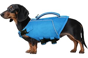 ASENKU Giubbotto di salvataggio per cani, gilet di sicurezza per animali domestici, per nuoto e canottaggio, giubbotto di salvataggio con squalo, costume da bagno per cani di taglia piccola, media e