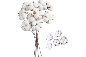CaiTang 10Pcs Ramo Flores Secas Naturales Flores Algodon Decoracion 42cm Ramo de Algodón, Algodon Natural, con 5 Cabeza de Algodon Decoracion Planta Seca para Decoración de Casa