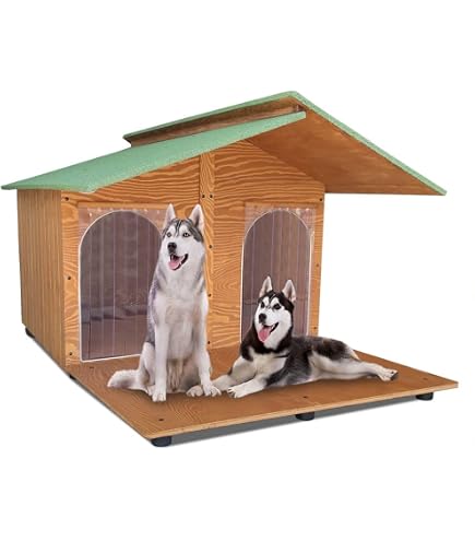 Campana In Vetro Soffiato Con Base In Faggio Naturale - Altezza 31 Cm, Diametro 20 Cm, Decorazione E Protezione
