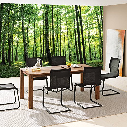 Vlies Fototapete 400×280 cm PREMIUM PLUS Wand Foto Tapete Wand Bild Vliestapete – Wald Tapete Bäume Wald Sonne Wiese grün – no. 528 - 7