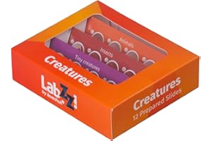 Levenhuk LabZZ C12 Creatures Kids Educational Prepared Microscope Sample Slides Set of 12 Animal and Insect Specimens for Children with Curiosity for Entomology and Zoology