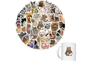 MUVONZI 50 Pcs autocollants drôles de mèmes, Chats Meme, autocollants de mode graffiti colorés en vinyle imperméable pour ordinateur portable et planche à roulettes