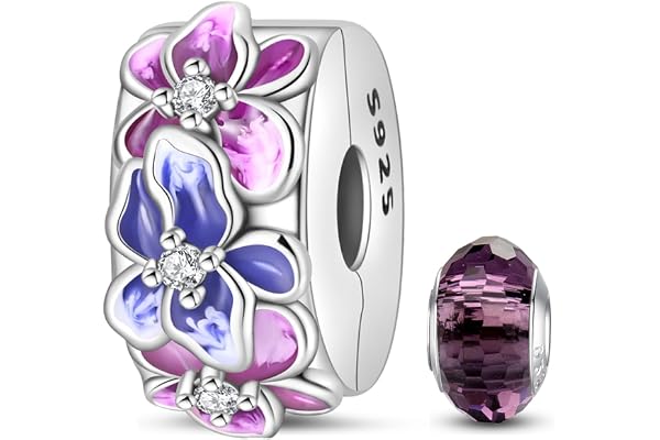 HappyStar 925 Sterling Silver Stopper Spacer Bead charm för kvinnor Clip Charms pärlor kompatibel med Pandora-armband (med ett rymdpärlor)