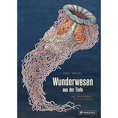 PDF-Download Wunderwesen aus der Tiefe. Ernst Haeckel: Das Pop-up-Buch