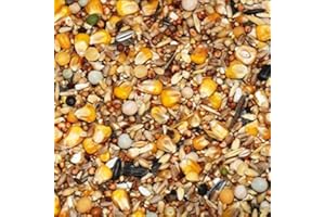 Kampol Taubenfutter Universelle Mischung für Tauben und andere Vögel, 25 kg (1er Pack)