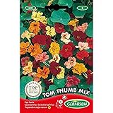 Germisem Tom Thumb Mix Semi di Nasturzio 5 g