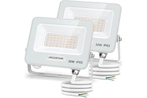Aigostar Faretto LED da Esterno 30W, 2450LM, Faretti LED Esterno Naturale 4000K, Luce di Sicurezza Impermeabile IP65, Per Giardino, Cortile, Garage, Corridoio, Confezione da 2
