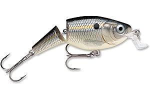 Rapala Jointed Shallow Shad Rap 5 Fishing Lure