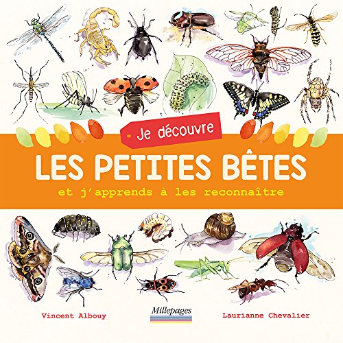 <a href="/node/11142">Je découvre les petites bêtes</a>