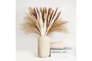 CSYY 120 pcs Pampa Séchées Naturelle Décoration, Herbe de Pampa Marron Blanc Naturel Frondes Moelleuses Lagurus et Carex Fleurs Séchées 44 cm Bouquet Fleurs Séchées Décoration D'intérieur