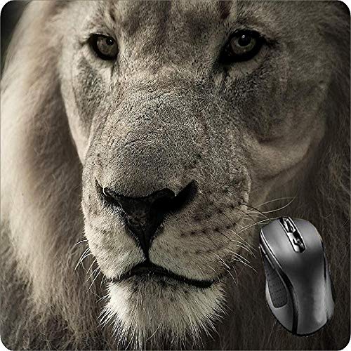 Preisvergleich Produktbild BGLKCS