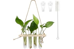 MAIXINNEW 4 Piezas Jarrones de Vidrio Hidropónico Pared, Estación de Propagación para Plantas, Jarrones Plantas de Agua para Hogar, Oficina, Jardín