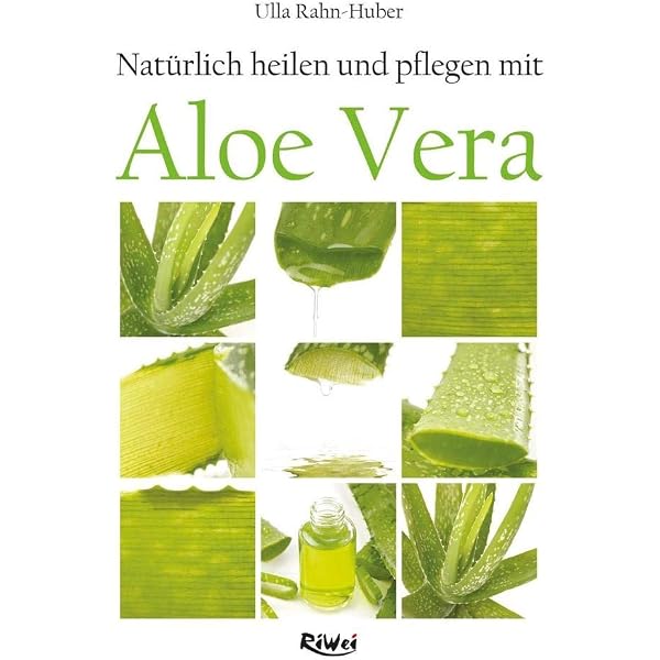 can aloe vera be used as moisturizer Aloe All Day Moisturizer 2oz main image 1