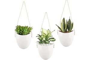DaizySight Macetas Colgantes de Pared para Interiores para Plantas suculentas, cerámica pequeño para decoración de Pared para el hogar (Plantas Artificiales no Incluidas), Blanco, Paquete de 3