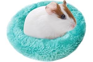 STRONRIVE Hamster Hängematte Kokos Hängendes Vogelnest Hamster Kokosnuss Hängematte Hängematte Für Kleine Tiere Hamster Kokosnuss Versteck Hamsterbett Mit Weicher Matte Für Mäuse, Papageien, Igel, Meerschweinch