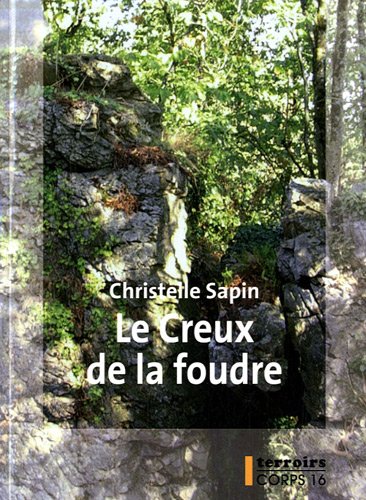 couverture de : Le Creux de la foudre 