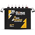 Genus Invoshakti Solar Tubular Battery 150 AH Capacity at C10 Rating Best Suitable for Solar Applications at Home Office & Shops 60 Months Warranty, Black & Yellow