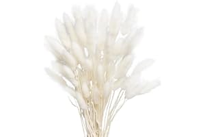 Vellivar White Bunny Tails Pampas Grass Home Decor Dried Grasses for Vases Cake, 50pcs Rabbit Tails Bouquet Small Dried Flowers Table Decoration Room