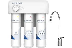 PENTAIR F3000-B2M - Filtro acqua potabile - Meno sabbia, sedimenti, cloro, piombo, cisti, atrazina, lindano su acqua ad alta torbidità - 0,5 micron - 12 mesi